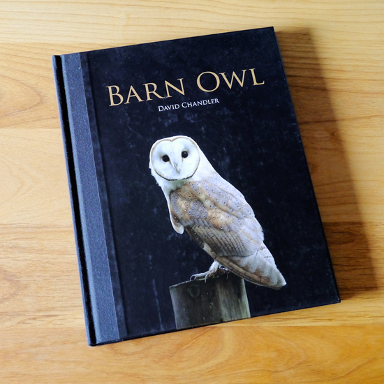 Book 「BARN OWL」